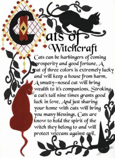 Witchy Cat Graphics & Comments