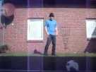Breakdance Cat Attack