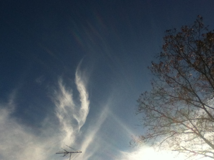 Picture 006