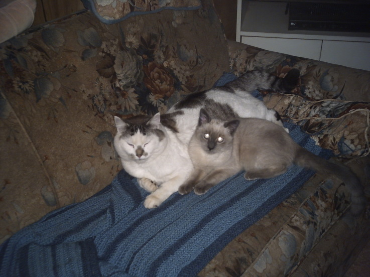 Trouble and Flash