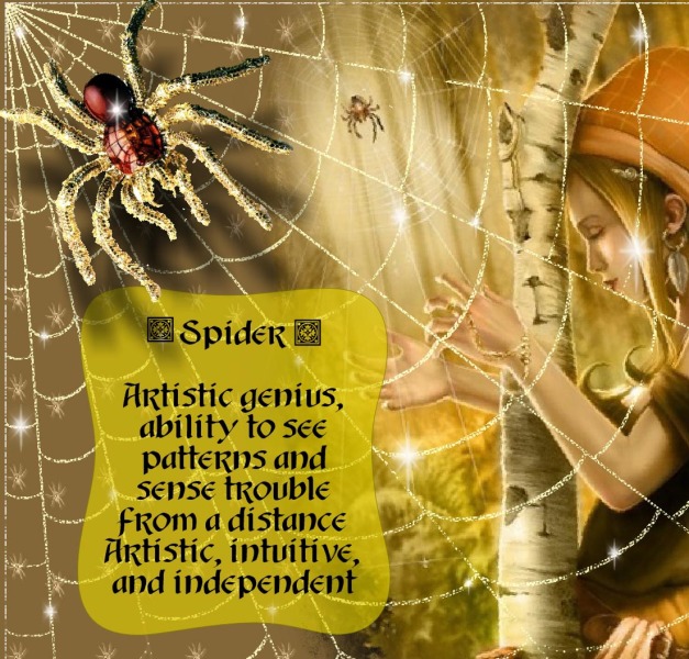 SpiritAnimal_Spider2