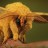 Moth Shoal
