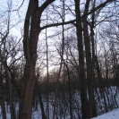 Winter Solstice Hike 2010