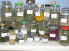 Herbs 2011
