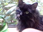 This is Mei Breu
