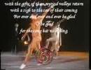 The Mabinogion Dances